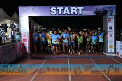 VIJ_4451