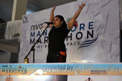 VIJ_4490