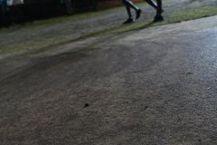 VIJ_4615