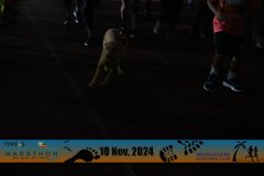 VIJ_4675