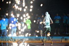 DSC2011