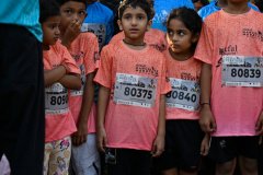DSC2485