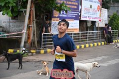 UDY_9537